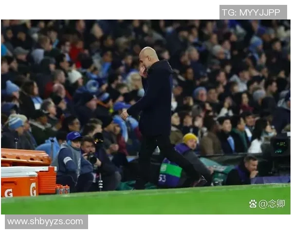 欧联杯曼城大胜里昂帽子戏法引发全场狂欢赛后精彩点评